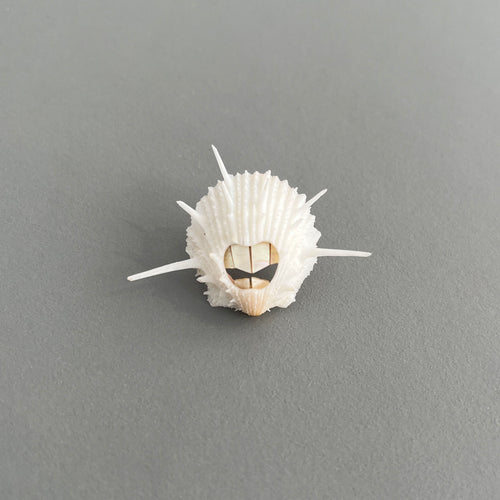 'Pearly Whites' brooch