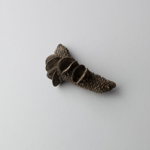 'Banksia seed' brooch