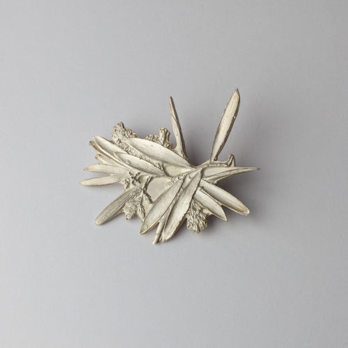 'Bearded Heath' brooch